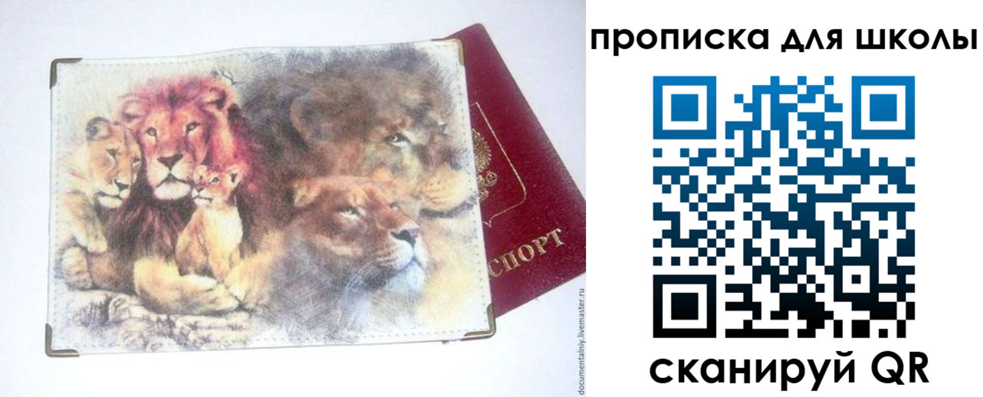 временная регистрация гарантия в Бакале